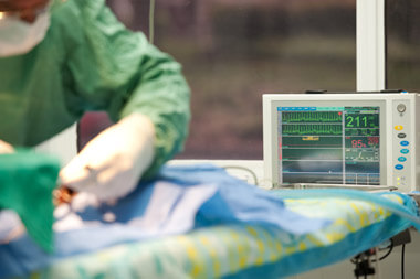 veterinary-surgery veterinary-surgery