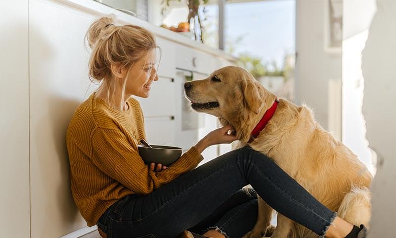 Drop-off Appointment Form (PDF)