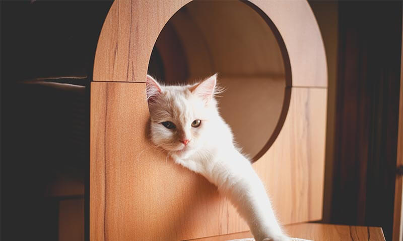 New Client Information Form (PDF)