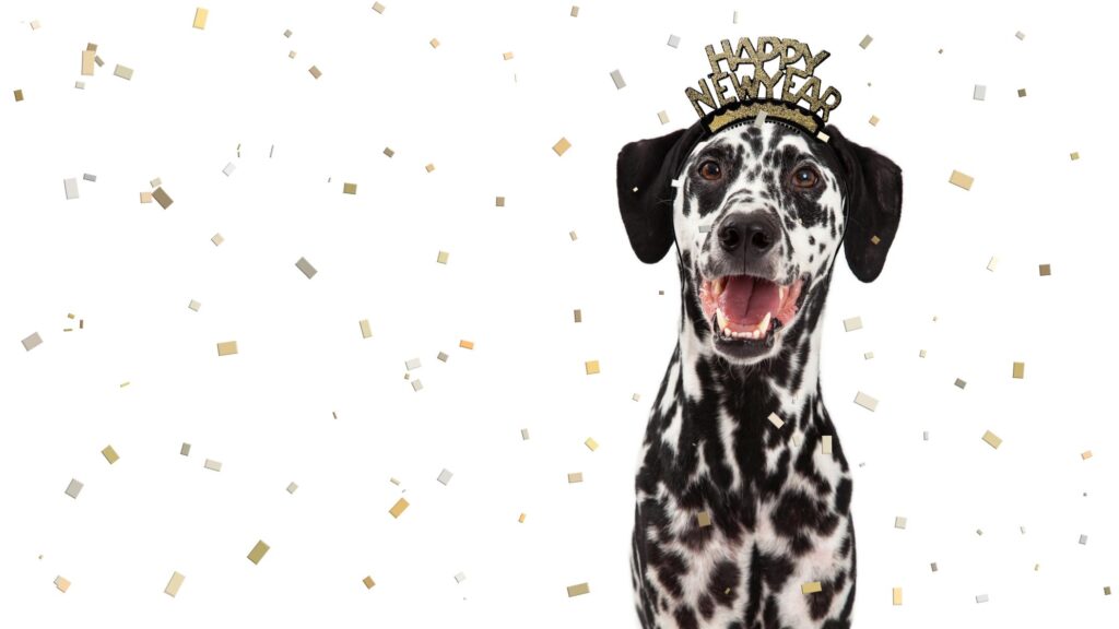 New Year’s Resolutions for Pet Health
