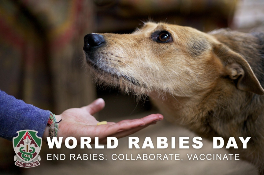 September 28 is World Rabies Day