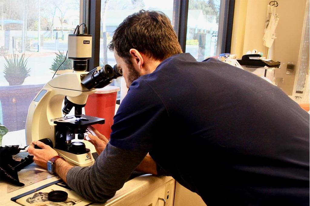 Performing a diagnostic Performing a diagnostic