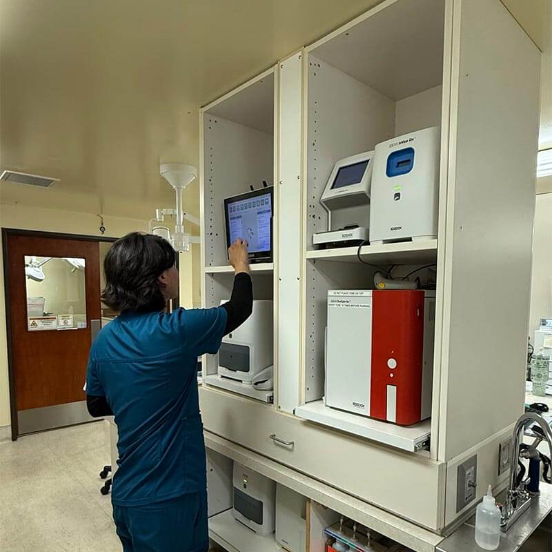 Performing a diagnostic Performing a diagnostic