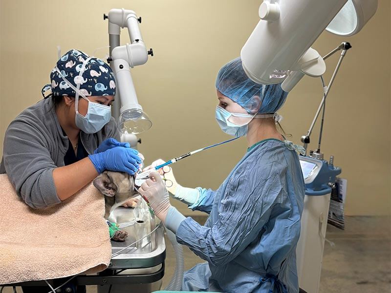 A laser procedure A laser procedure
