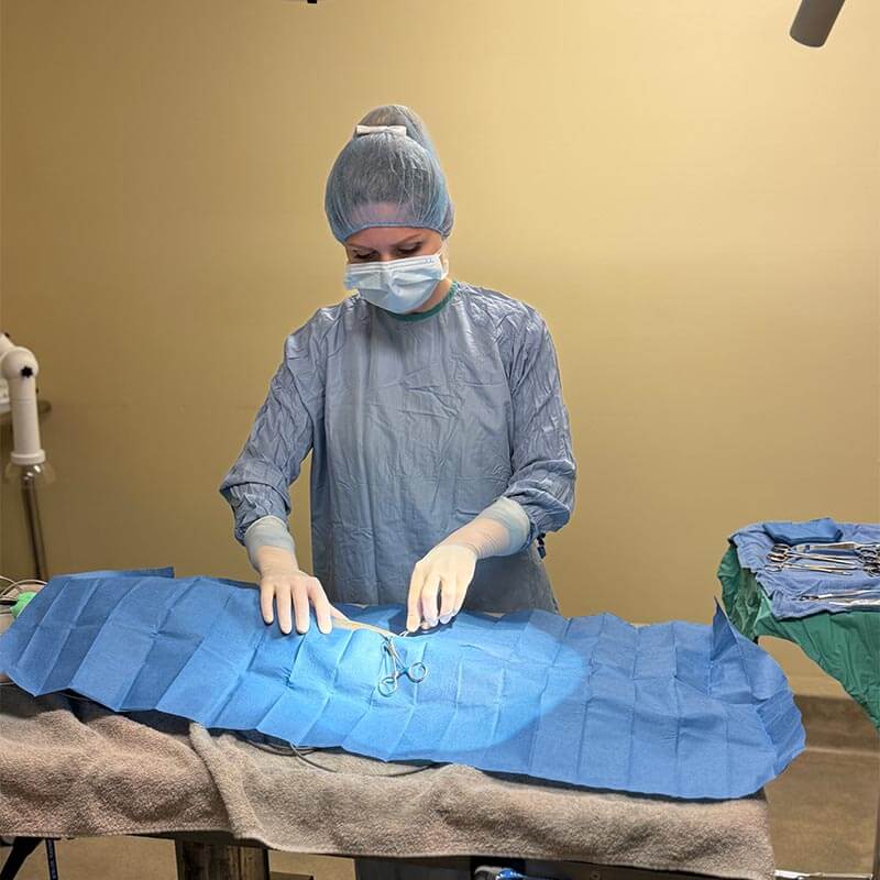 A surgical procedure A surgical procedure