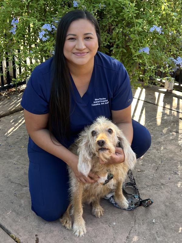 Catarina , Veterinary Assistant